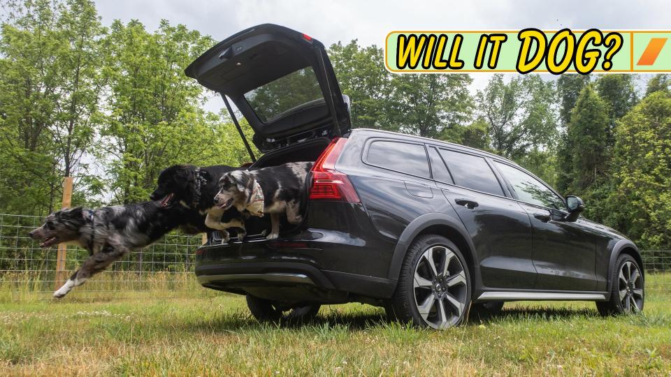 2023 Volvo V60 Cross Country: Will It Dog? photo