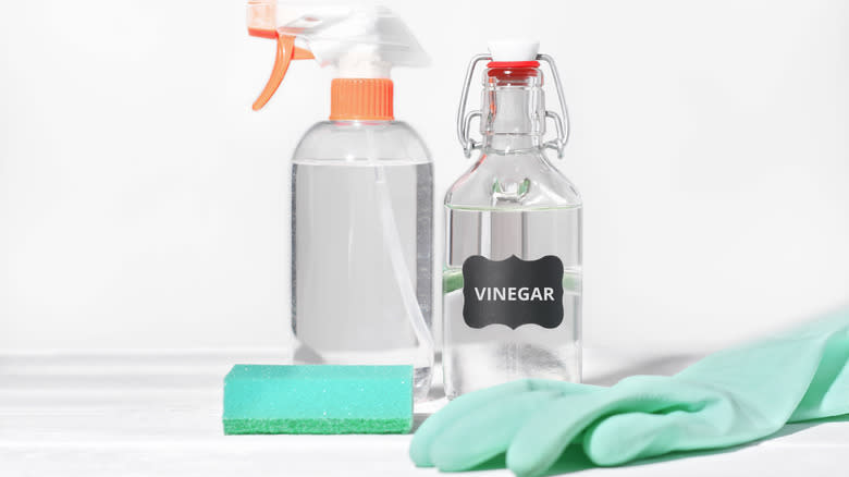 Vinegar with sponge, spray bottle, rubber glove