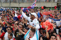 Formula One F1 - Brazilian Grand Prix - Autodromo Jose Carlos Pace, Interlagos, Sao Paulo, Brazil - November 11, 2018 A Mercedes' Lewis Hamilton lookalike celebrates with spectators after Lewis Hamilton won the race REUTERS/Paulo Whitaker