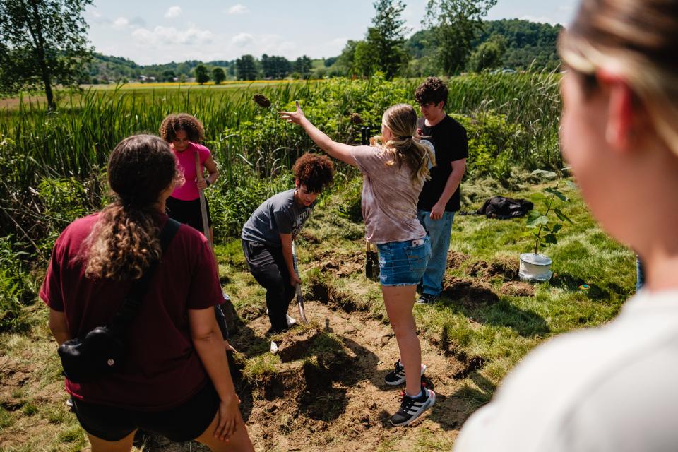 Claymont High School science club members work together readying a suitable hole to plant the moon tree sycamore sapling, Wednesday, May 22 at Claymont High School in Uhrichsville.