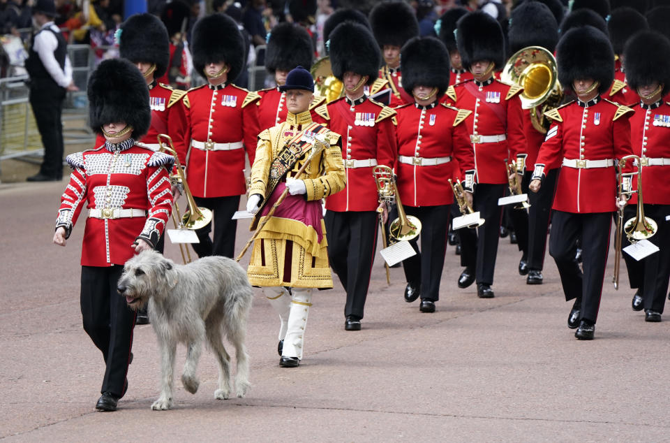 Queen's Platinum Jubilee – Irish wolfhound leads Guards down The Mall