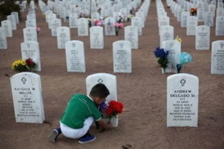 A child places a flower bouquet at the grave of a relative during Veterans Day at Fort Bliss National Cemetery in El Paso, Texas, November 11, 2015. REUTERS/Jose Luis Gonzalez