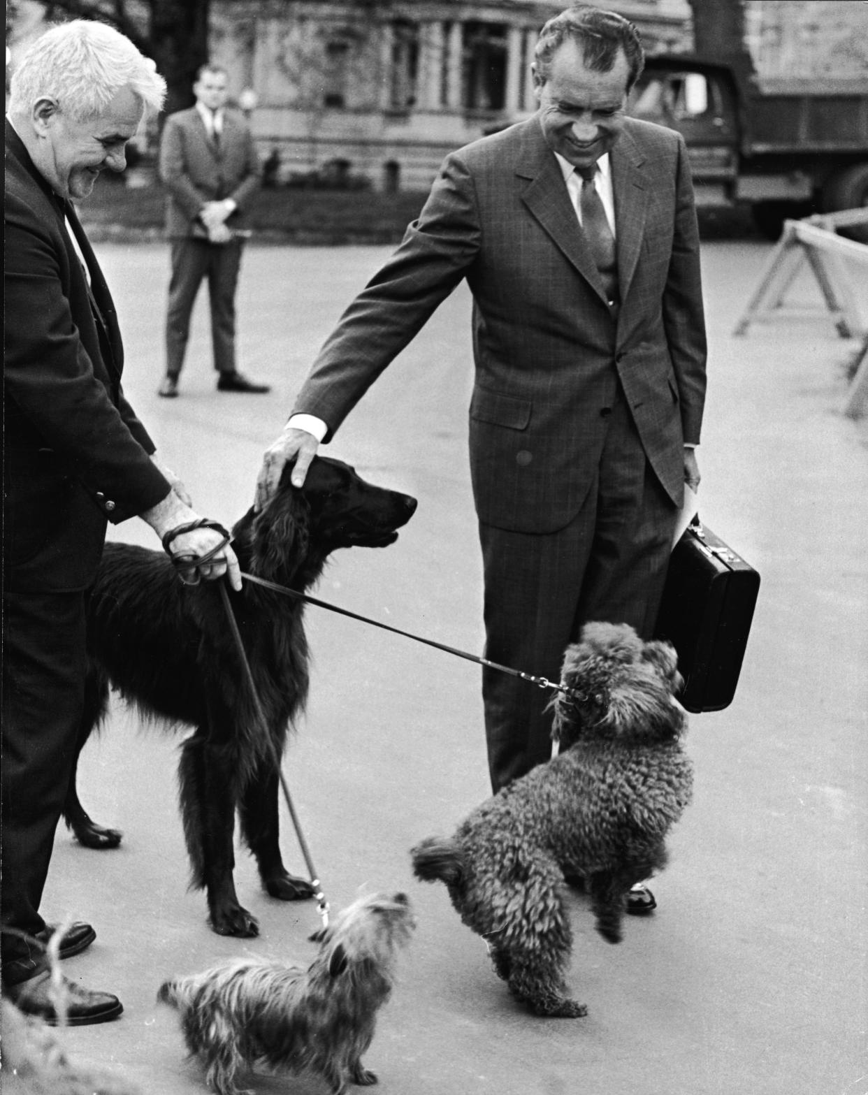 Richard Nixon pets his dogs (L-R) Irish Setter 'King Timahoe,' Yorkshire Terrier 'Pasha' and French Poodle 'Vicky,' outside the White House, Washington, DC, April 30, 1970. (Getty Images)