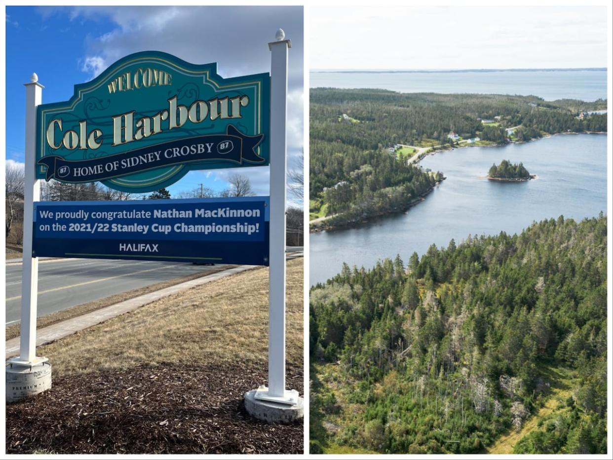 One Cole Harbour, N.S., is well known for the hockey superstars who grew up in the community, while the other is a picturesque seaside community. (Pat Callaghan/CBC/Submitted by Heidi Arbeau-Wood - image credit)