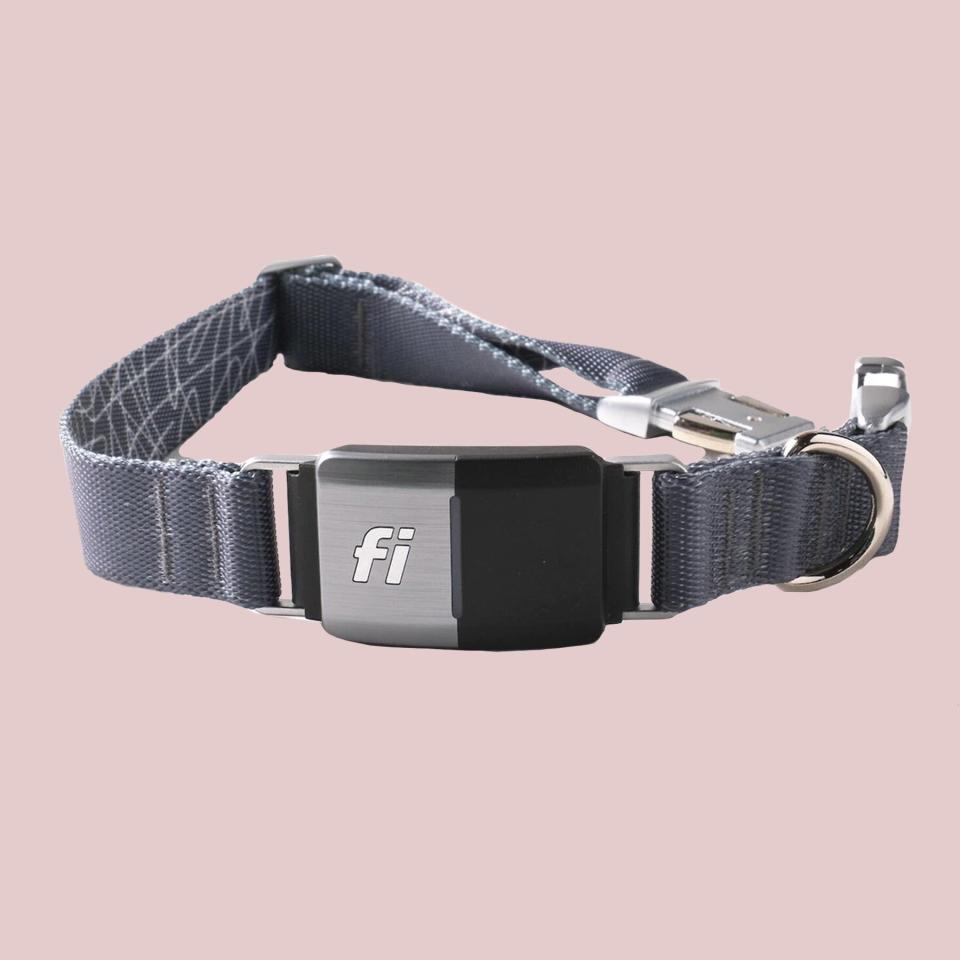 Fi Series 2 GPS Tracker Smart Dog Collar