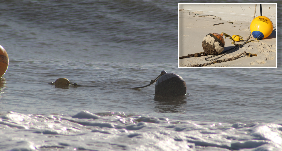 Drumlines were photographed floating off Bribie Island on April 11. Source: Peter Garbett, Dolphin Research Australia