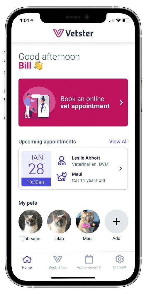 Available for iOS and Android, and on the web, Vetster is a telehealth platform that lets you video chat with a licensed vet in your state (or outside of it), on demand, 24/7.