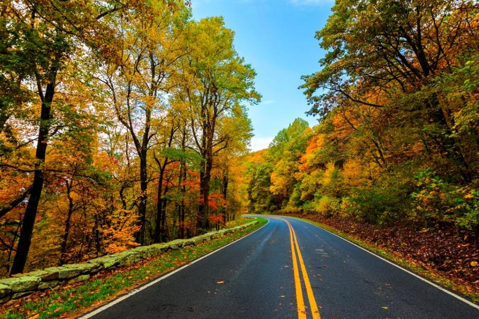 Skyline Drive runs nore than 100 miles along the length of Shenandoah National Park, Virginia