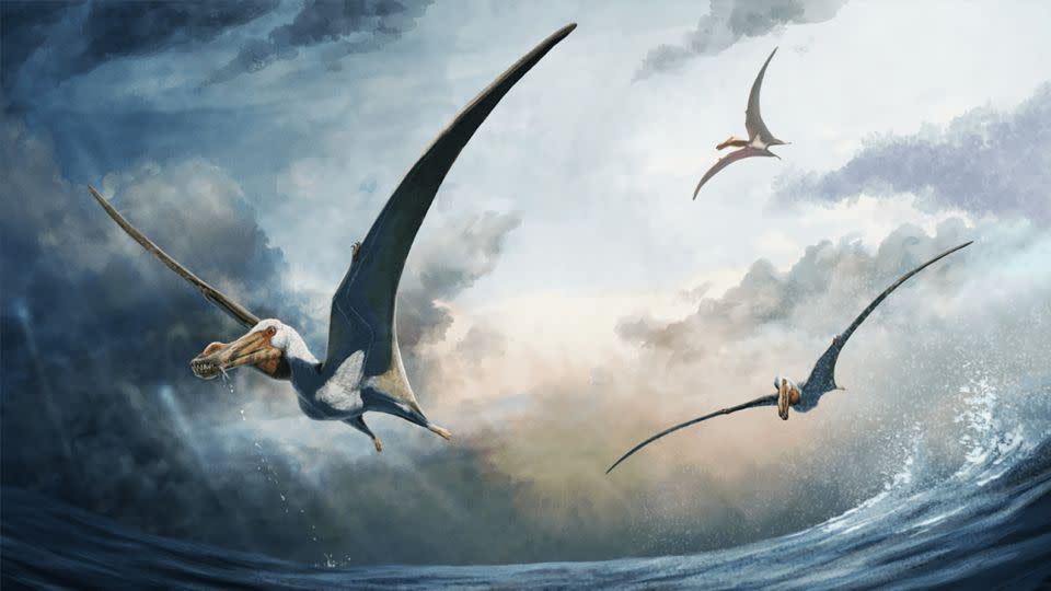 An artist's impression of Haliskia peterseni, a new species of pterosaur. - Gabriel Ugueto/Curtin University