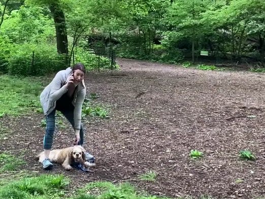 Video of the viral incident in Central Park, New York, in which Amy Cooper (pictured) phoned 911 on a Black bird watcher (Facebook/ChristianCooper)