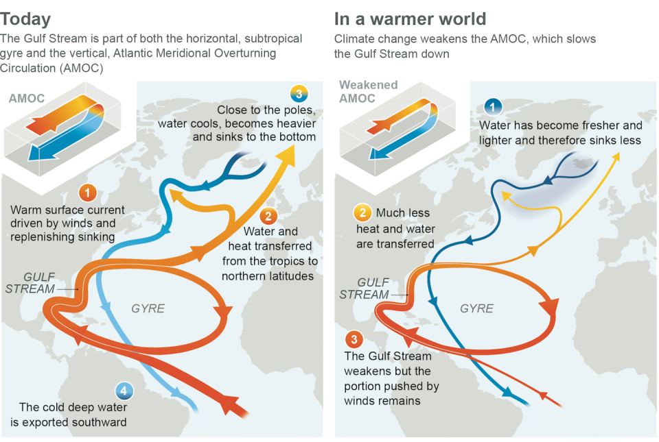 Two illustrations show what the AMOC looks like today and how it is expected to weaken in the future