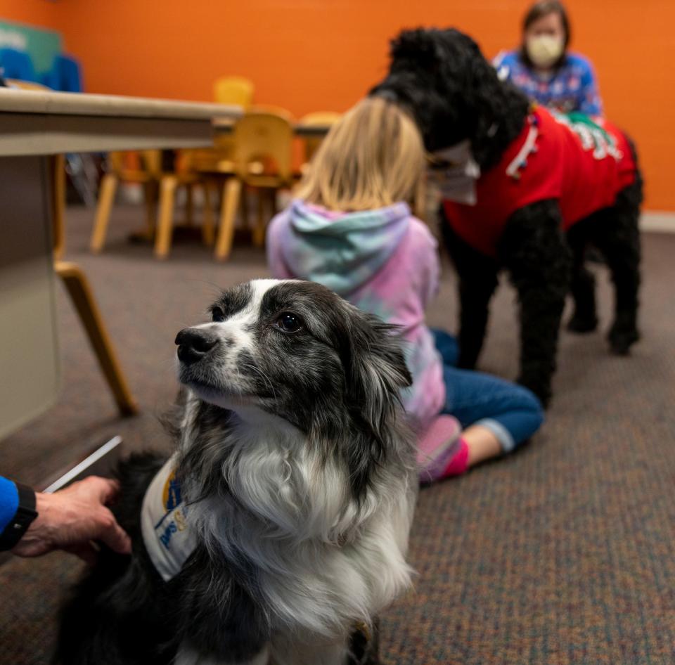 Teddy Roosevelt, a therapy dog, on Monday, Dec. 12, 2022, at a meeting for Brooke’s Place, which helps grieving young people. 