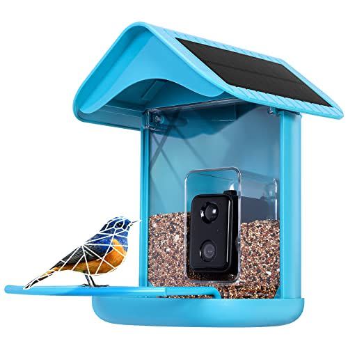 1) Cuckoo Smart Bird Feeder Camera