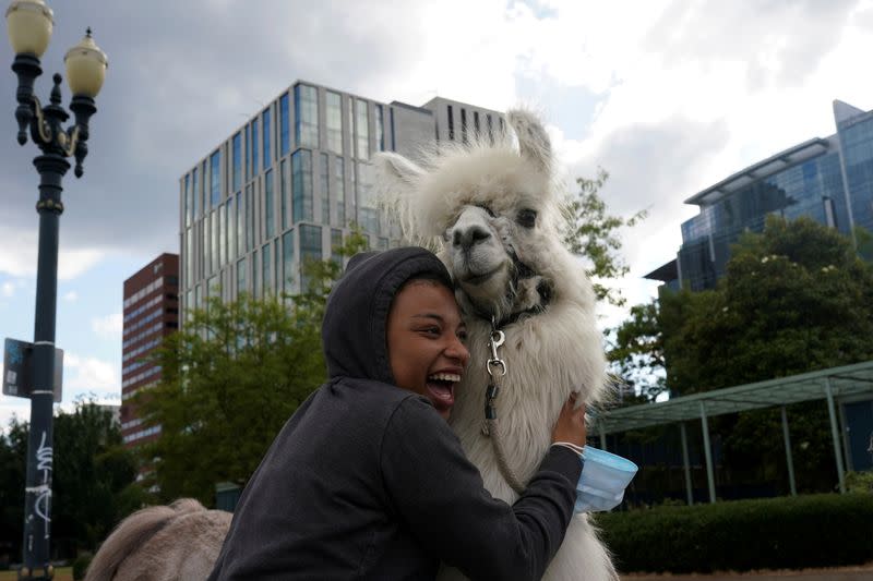 Lyra Conley abraza a César McCool, una llama terapéutica en el sitio de protestas contra la violencia policial y la desigualdad racial, en Portland, Oregón. 6 de agosto de 2020.