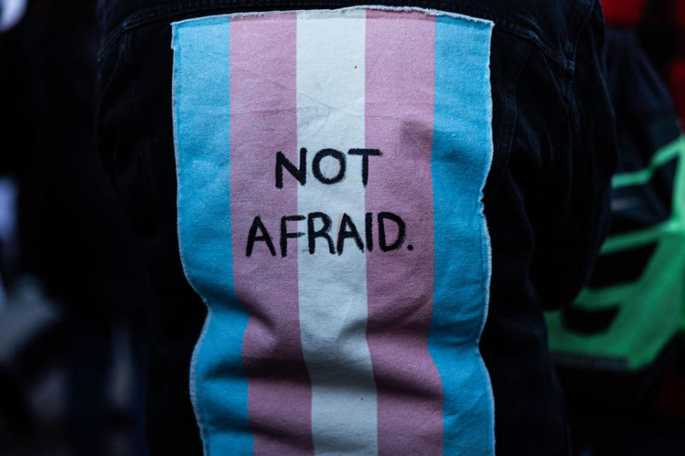 Trans Pride flag with 'not afraid' written on it