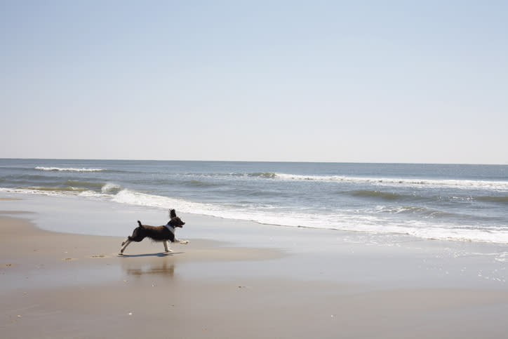 Ocracoke Beach, North Carolina