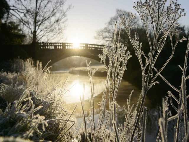 A winter wonderland in Pollok Park