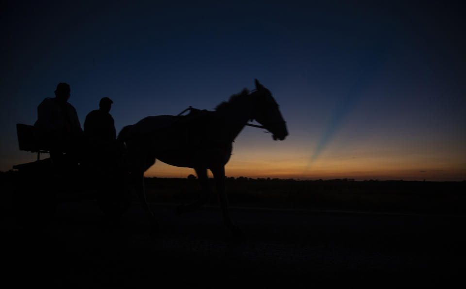 Farmers move in a horse cart at dawn in Batabano, Cuba, Tuesday, Oct. 25, 2022. Cuba is suffering from longer droughts, warmer waters, more intense storms, and higher sea levels because of climate change. The rainy season, already an obstacle to Cuban agricultural production, has gotten longer and wetter. (AP Photo/Ismael Francisco)