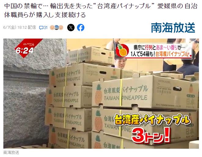 快新聞／中國封殺台灣鳳梨　日本愛媛縣政府「帶頭買爆」相挺揪甘心