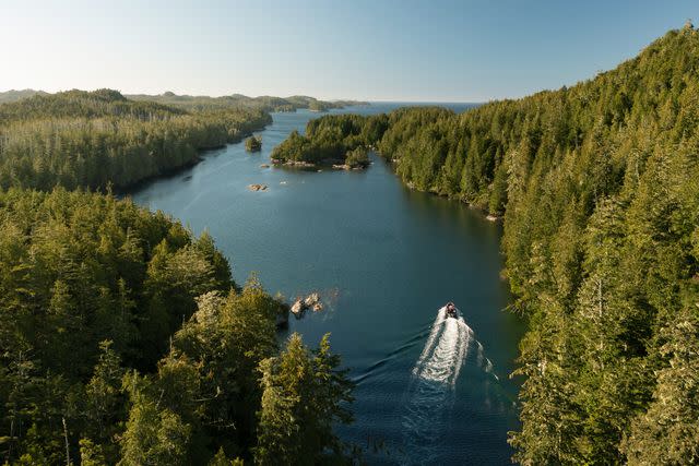 <p>Ian Harland</p> A Coastal Rainforest Safaris vessel sails through the 'NakÌ•â€™waÌ±xda'xÌ±w First Nation territory of northern Vancouver Island.