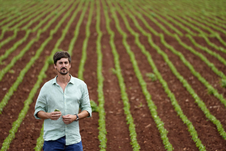 Joao Pedro walks in a soybean field at his Passatempo farm, Sidrolandia, Mato Grosso do Sul state, Brazil, Thursday, Oct. 20, 2022. President Jair Bolsonaro trusts his support among agribusiness leaders to help him win reelection later this month, while frontrunner Brazil's Former President Luiz Inacio Lula da Silva tries to make inroads with rural voters with a boost from defeated presidential candidate Sen. Simone Tebet, who is from the state of Mato Grosso do Sul. (AP Photo/Eraldo Peres)