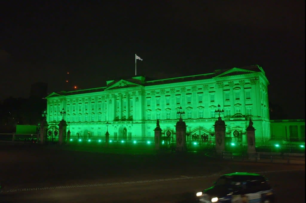 The Queen gave permission for Buckingham Palace to be lit up in green (The Royal Foundation)