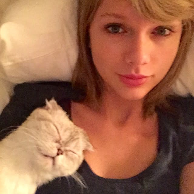 640px x 640px - Taylor Swift is Buying Porn Sites Apparently