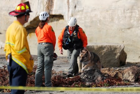 Emergency responders and a search team work at the scene of a cliff collapse at a beach in Encinitas, California