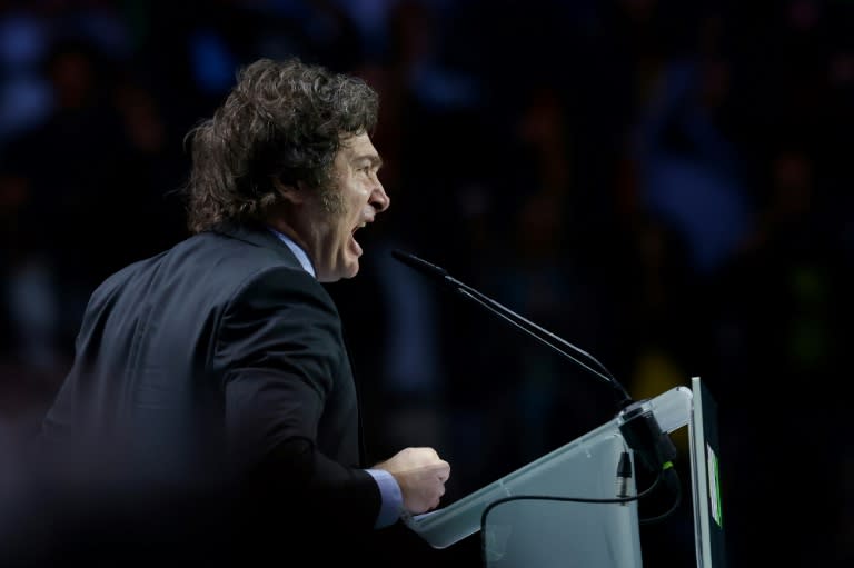 El presidente de Argentina, Javier Milei, pronuncia un discurso en el escenario durante un acto del partido español de extrema derecha Vox, en Madrid, el 19 de mayo de 2024 (OSCAR DEL POZO)