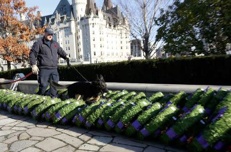 A police dog examines wreaths to be laid at the memorial ahead of Remembrance Day ceremonies at the National War Memorial in Ottawa November 11, 2014. REUTERS/Chris Wattie