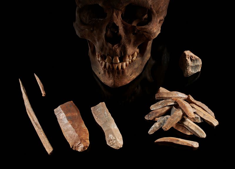 Genetics study lays bare Ice Age drama for humans in Europe