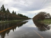 A flooded road due to Hurricane Florence is pictured in Rocky Point, North Carolina, U.S., Sptember 17, 2018. REUTERS/Ernest Scheydar