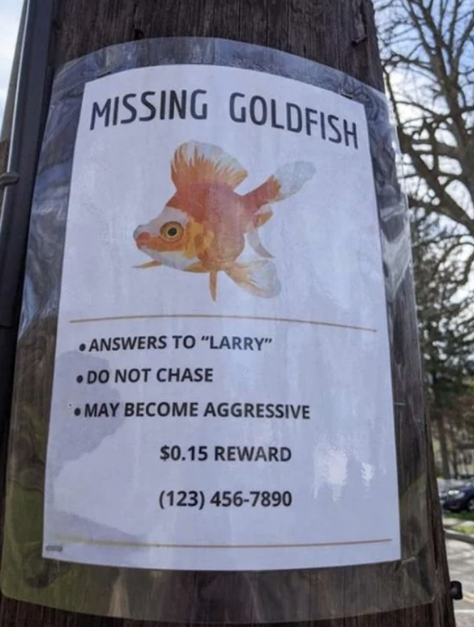 Missing goldfish poster with the headline "Missing Goldfish". The fish answers to "Larry", may become aggressive if chased. Reward: $0.15. Contact: (123) 456-7890