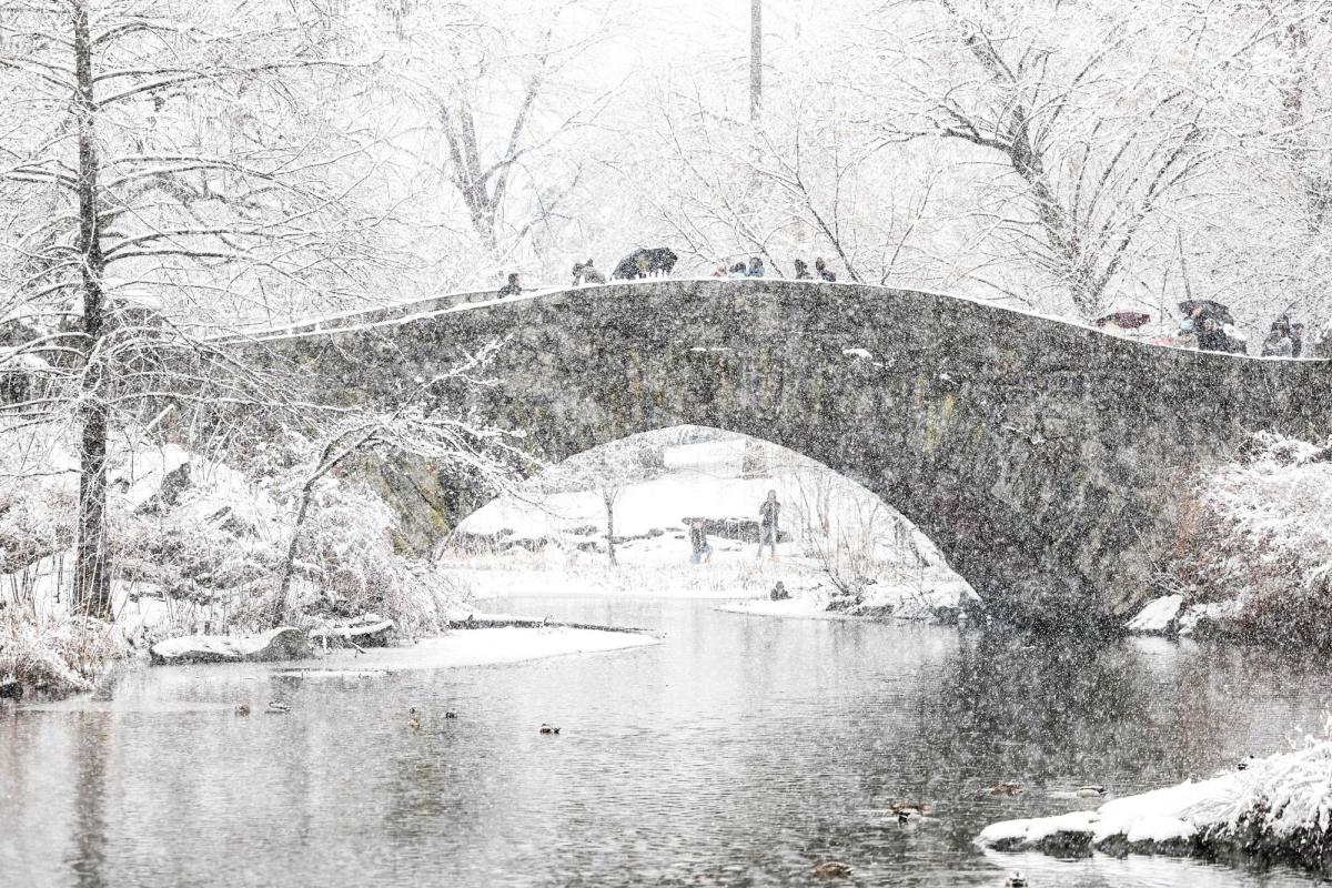 Major Winter Storm Hits New York City: School Closures, Travel Disruptions, and Mayor’s Warning