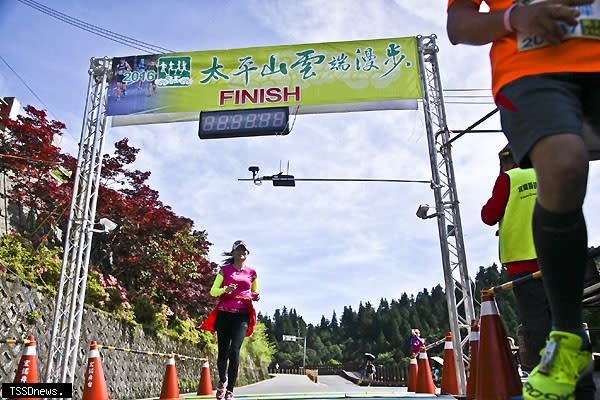 太平山雲端漫步。（圖：林業保育署宜蘭分署提供）