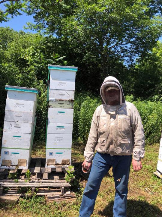 Glenn Scott with the bees