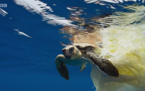 Videograb from Blue Planet II showing plastic pollution in the ocean  - Credit: BBC