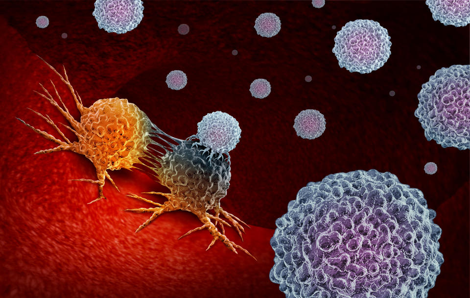 Cancer Immunotherapy as a human immune system therapy concept as a biomedical or biomedicine oncology treatment using the natural T cell fighting properties of the body as a 3D render.