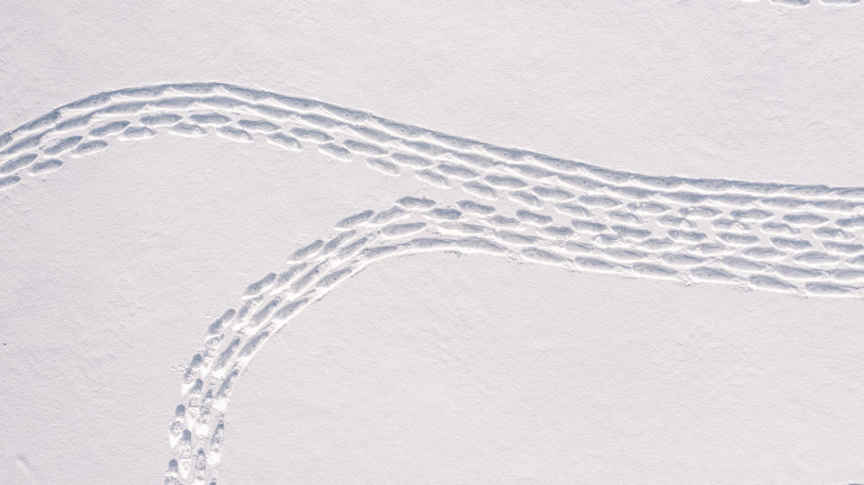 Foto tomada el 8 de febrero del 2021 de la obra de arte en la nieve cerca de Helsinki, Finlandia. (Pekka Lintusaari via AP)