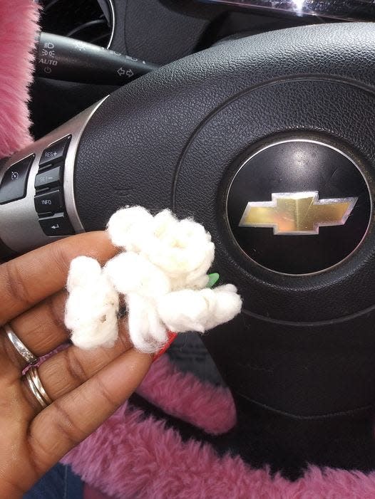 A cotton boll that Precious Tross said her daughter, Ja'Nasia Brown, and her classmates were made to pick seeds from during a social studies class at School of the Arts in Rochester. The teacher has now brought a lawsuit against parents and Save Rochester Inc., an area nonprofit.