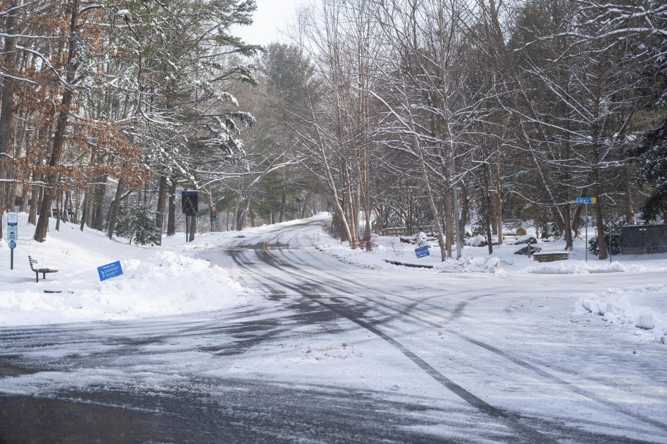 Scenes of snowfall in Asheville on January 17, 2021.