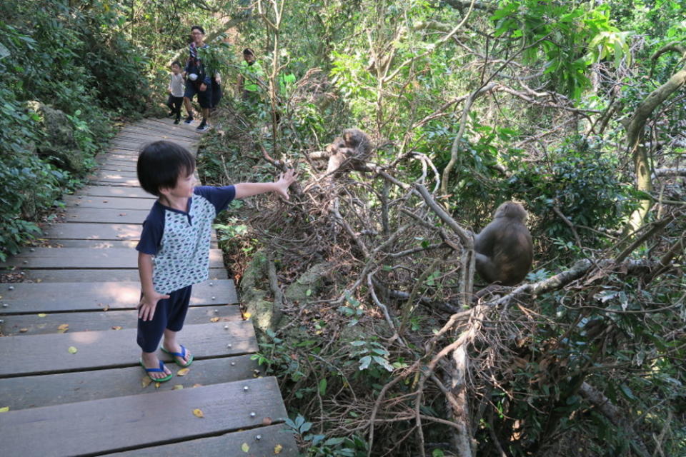 高雄柴山 | 終年23度C的沁涼山中湧泉奇景、龍巖冽泉復活了