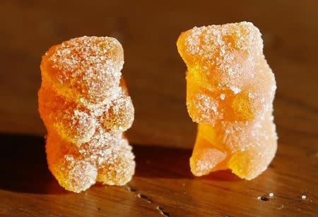 A marijuana-infused sour gummy bear candy (L) is shown next to a regular one at right in a photo illustration in Golden, Colorado October 17, 2014. REUTERS/Rick Wilking