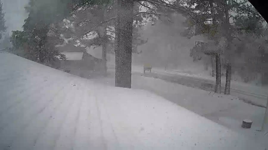 Snow starting to blanket the Laguna Mountain Lodge at 12:29 p.m. on Jan. 3, 2024. (Courtesy of Laguna Mountain Lodge)