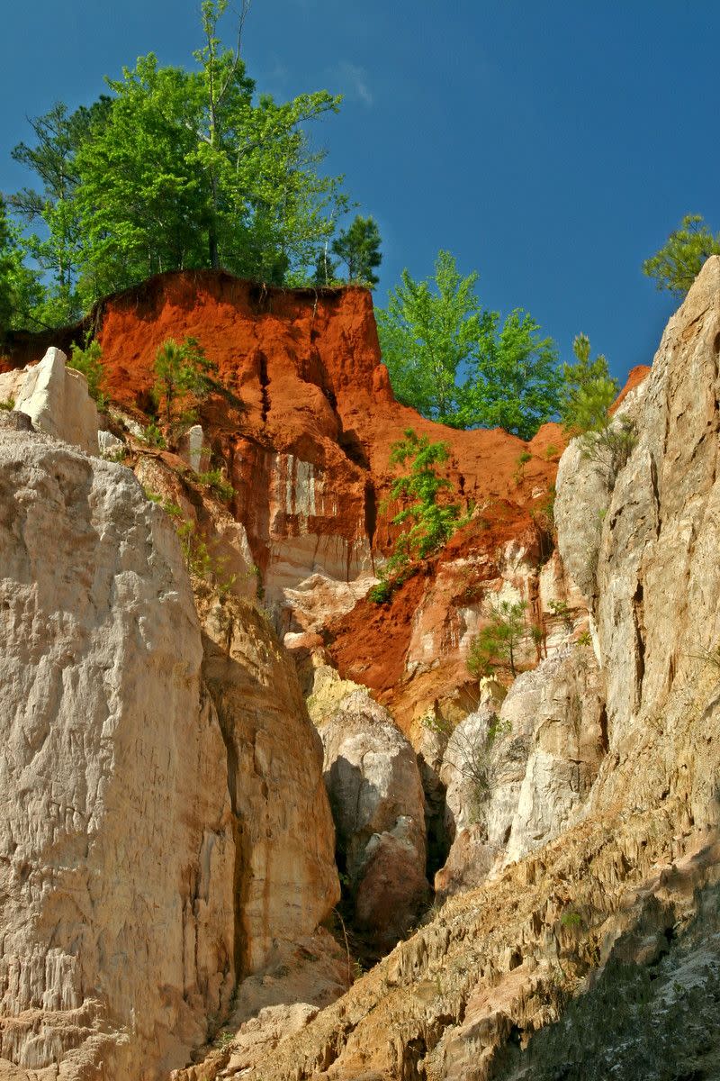 Photo credit: Courtesy of Georgia State Parks