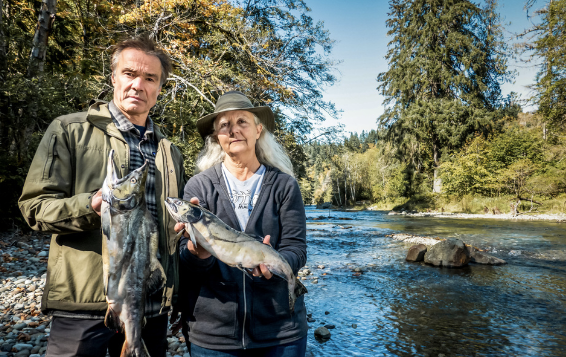 Hannes Jaenicke mit der Biologin Dr. Alexandra Morton und Wildlachsen. (Bild: ZDF / Andre Becker)