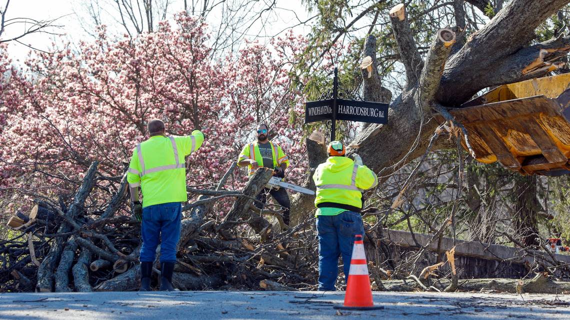 Workers with Elliot Power work to remove a fallen tree blocking the intersection of Harrodsburg Road and Windhaven Drive Saturday, March 4, 2023 after following a strong wind storm the night before that knocked out power to much of Lexington, Ky.