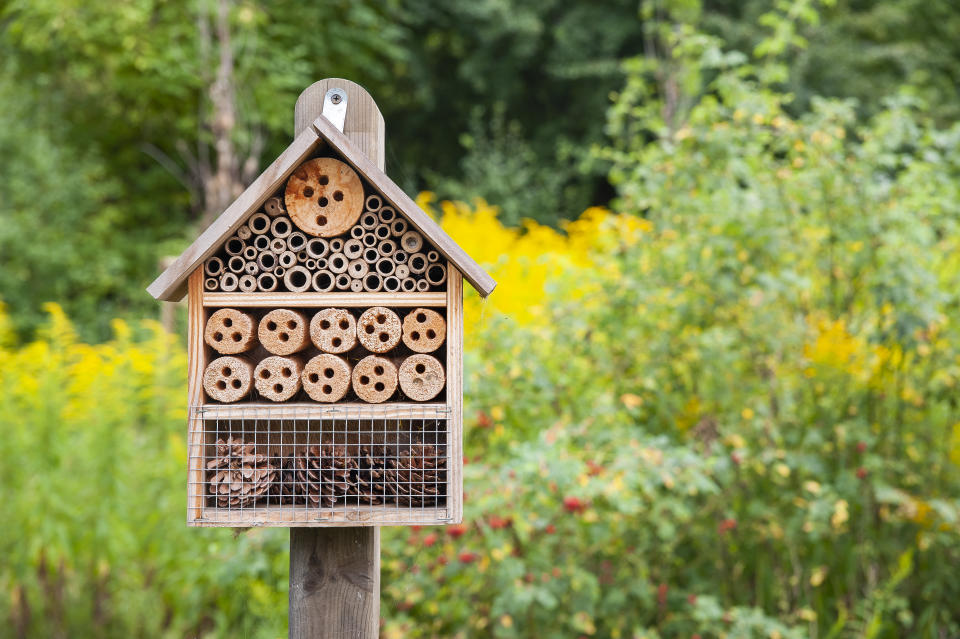 Insektenhotels sind ein schöner Blickfang im Garten – und sehr nützlich (Symbolbild: Getty Images)