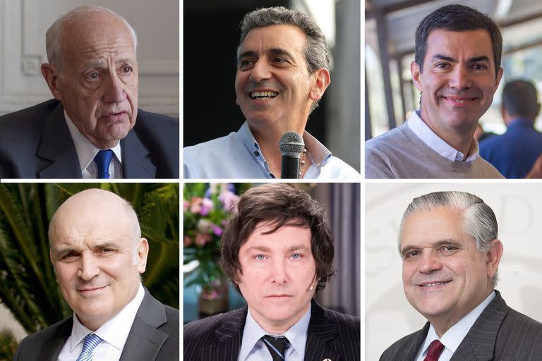 Lavagna, Randazzo, Urtubey, Espert, Milei, López Murphy