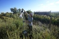 Ella Branham, a seasonal Vector Control Technician at the Salt Lake City Mosquito Abatement District, installs a mosquito trap in the wetlands north of the Salt Lake City International Airport on Monday, Aug. 28, 2023, in Salt Lake City. Mosquitoes can carry viruses including dengue, yellow fever, chikungunya and Zika. They are especially threatening to public health in Asia and Africa but are also closely monitored in the United States. (AP Photo/Rick Bowmer)